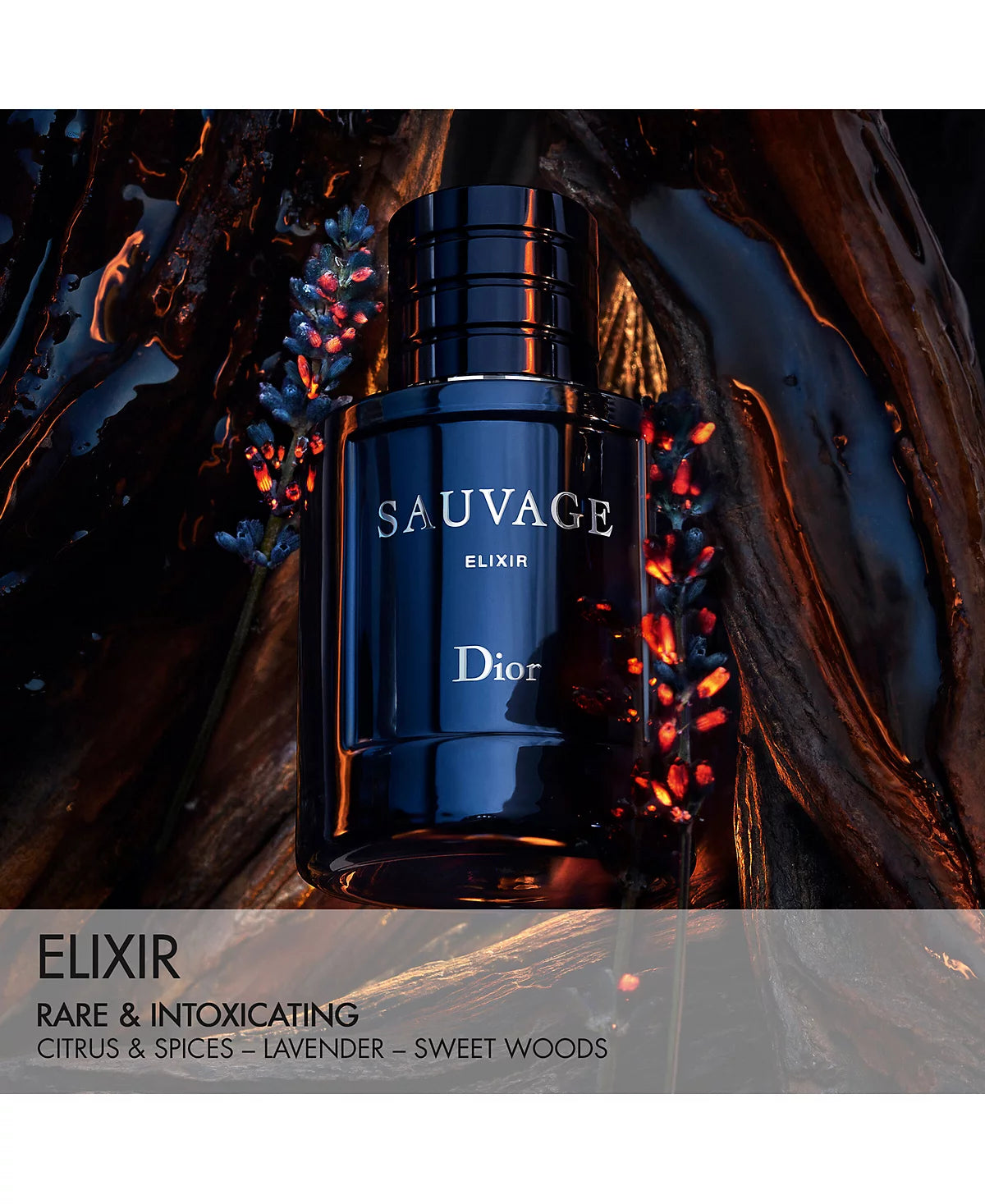Dior Sauvage Elixir