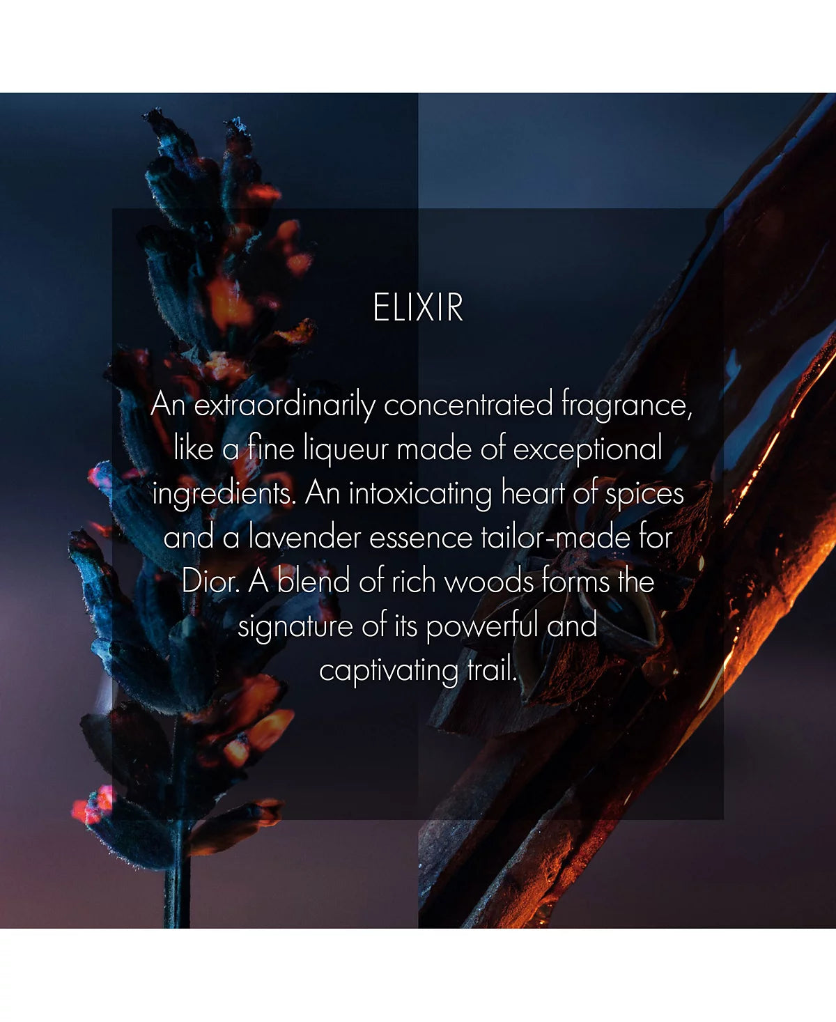 Dior Sauvage Elixir