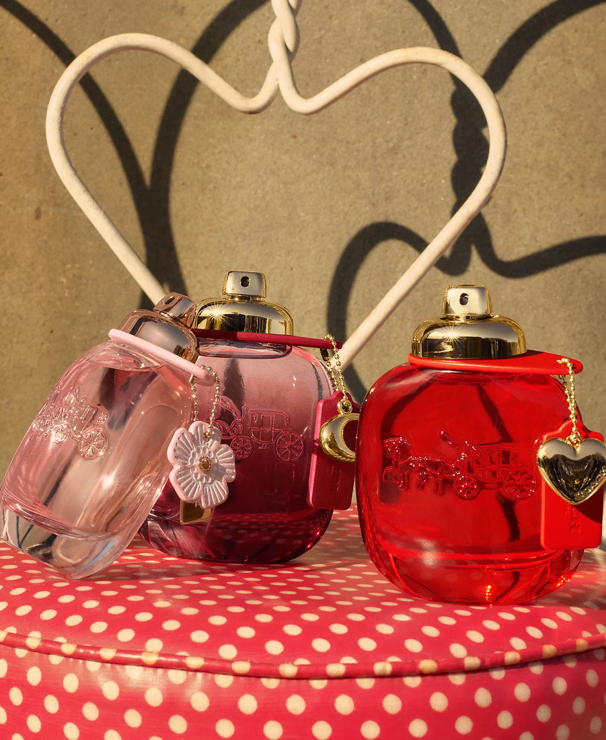 Coach Wild Rose