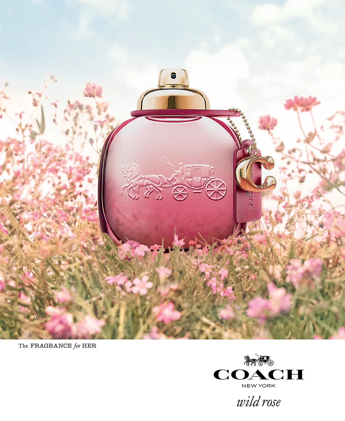 Coach Wild Rose