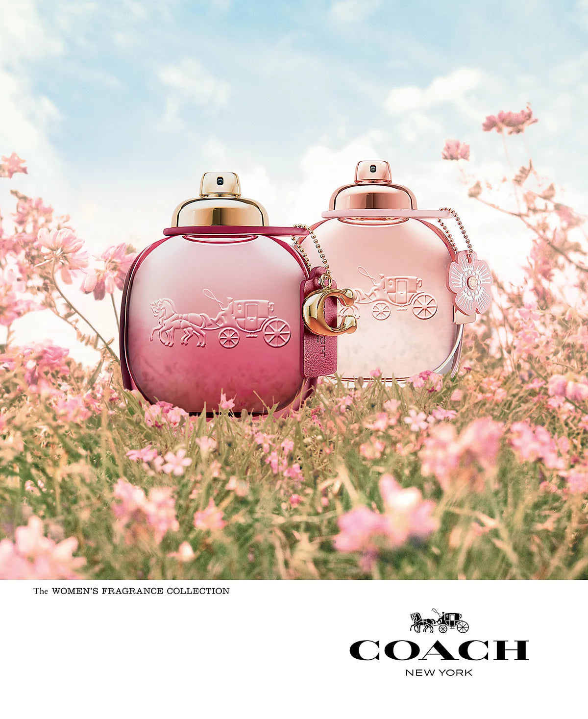 Coach Wild Rose