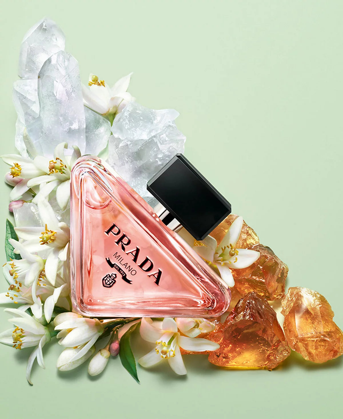 Prada Paradoxe