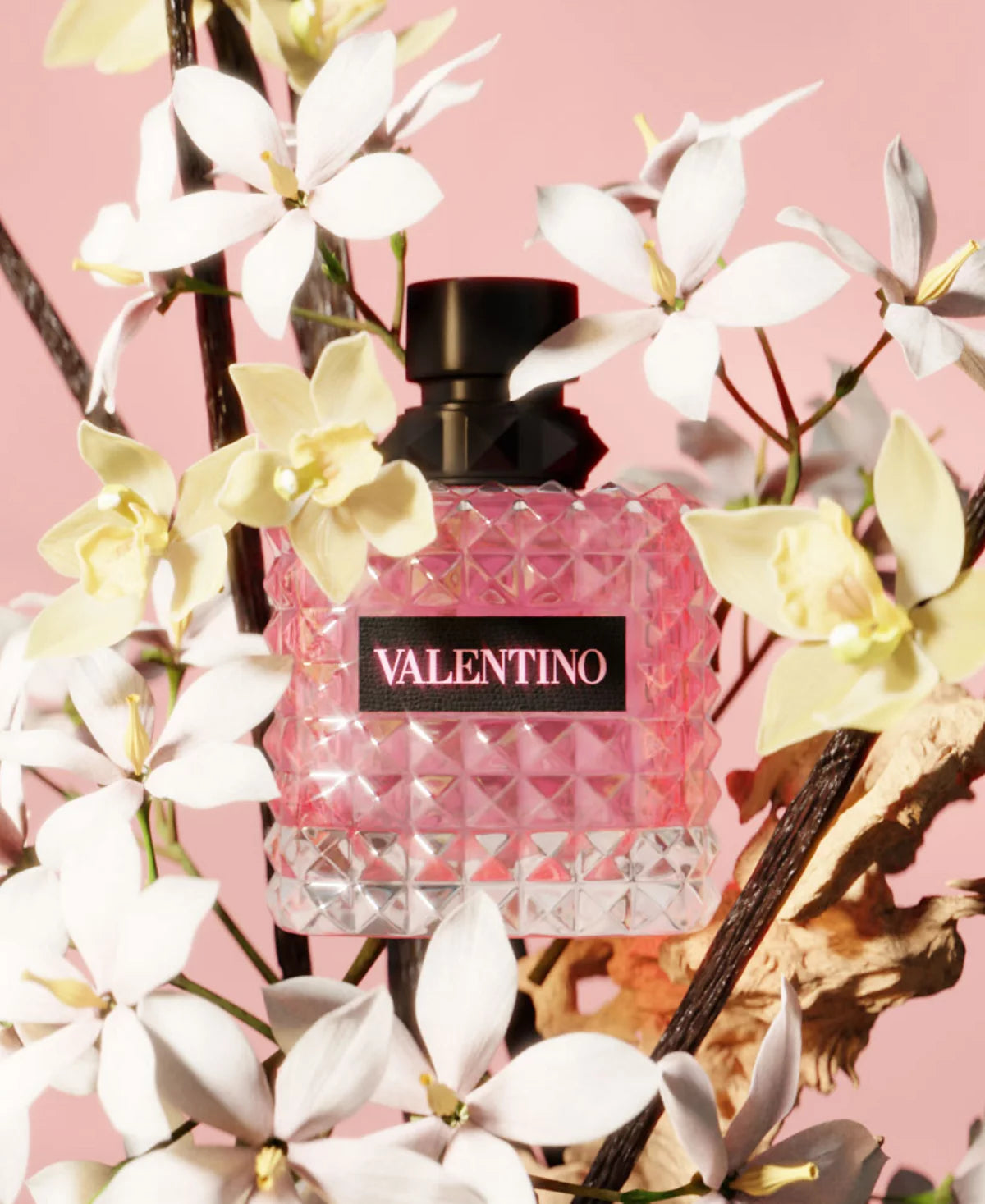 Valentino Donna Born in Roma