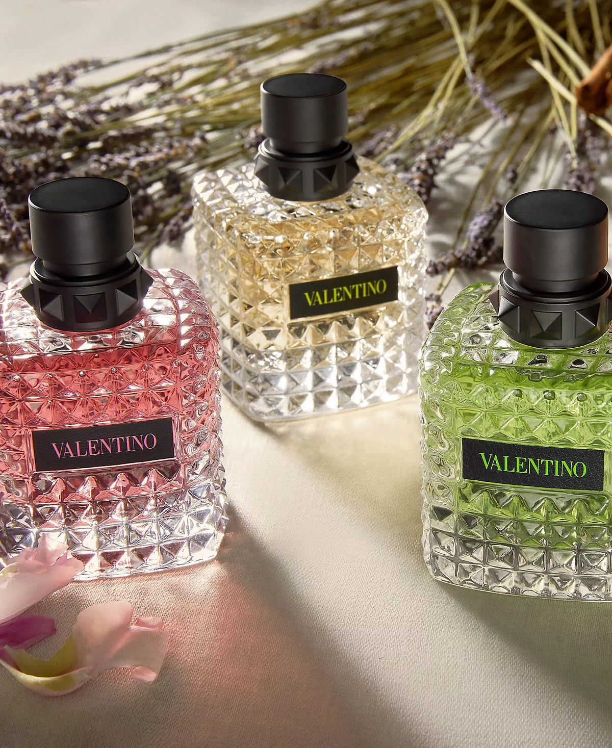 Valentino Donna Born in Roma