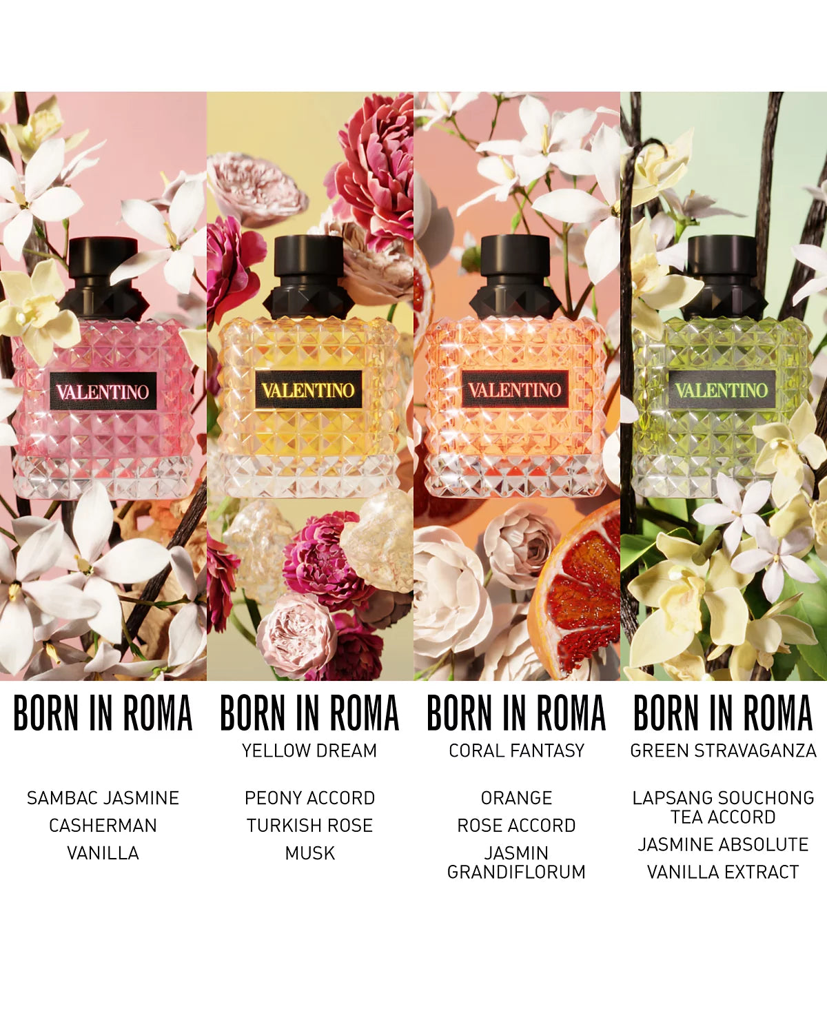Valentino Donna Born in Roma