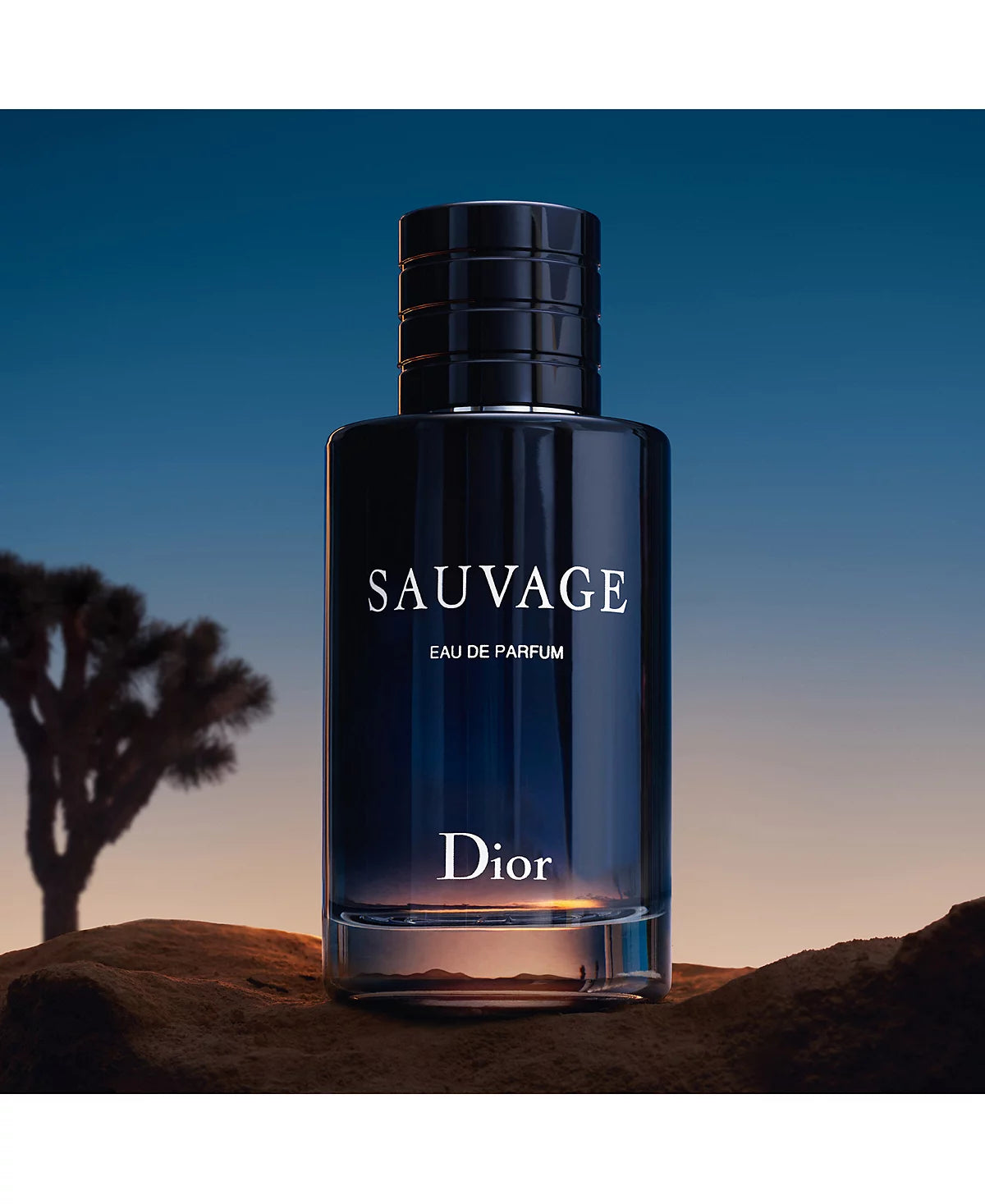 Dior Sauvage Eau De Parfum