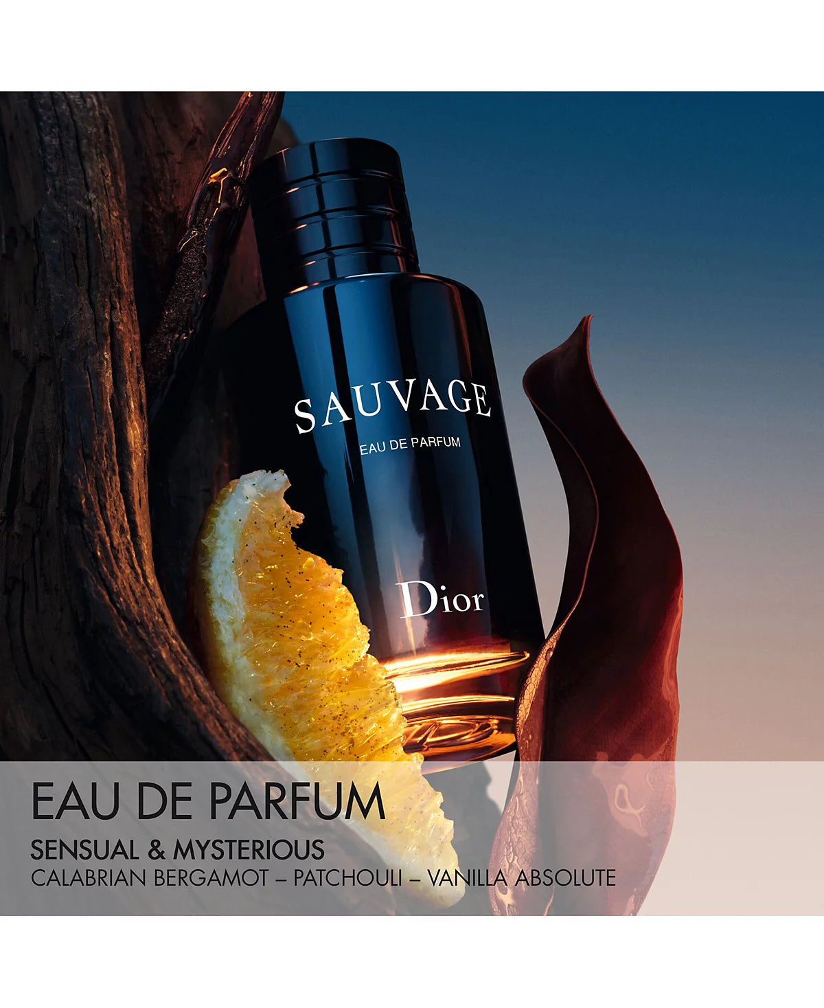 Dior Sauvage Eau De Parfum