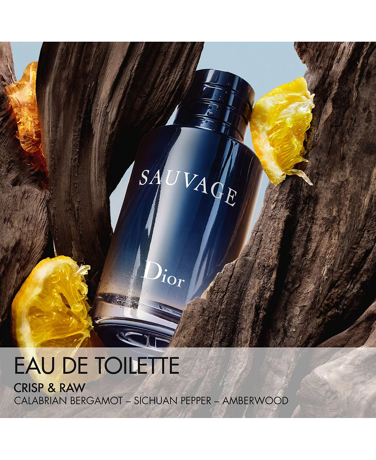 Dior Sauvage Eau de Toilette